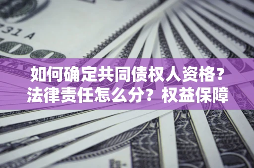 北京如何确定共同债权人资格？法律责任怎么分？权益保障技巧揭秘！