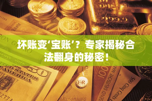 北京坏账变‘宝账’？专家揭秘合法翻身的秘密！