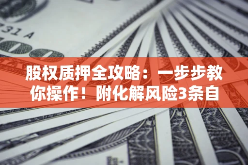 北京股权质押全攻略：一步步教你操作！附化解风险3条自救法则