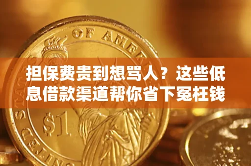 北京担保费贵到想骂人？这些低息借款渠道帮你省下冤枉钱