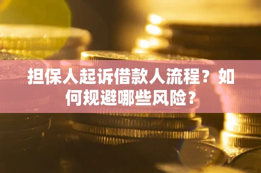 北京担保人起诉借款人流程？如何规避哪些风险？
