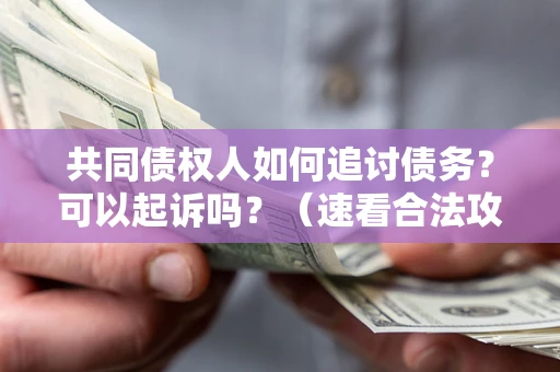 北京共同债权人如何追讨债务？可以起诉吗？（速看合法攻略）